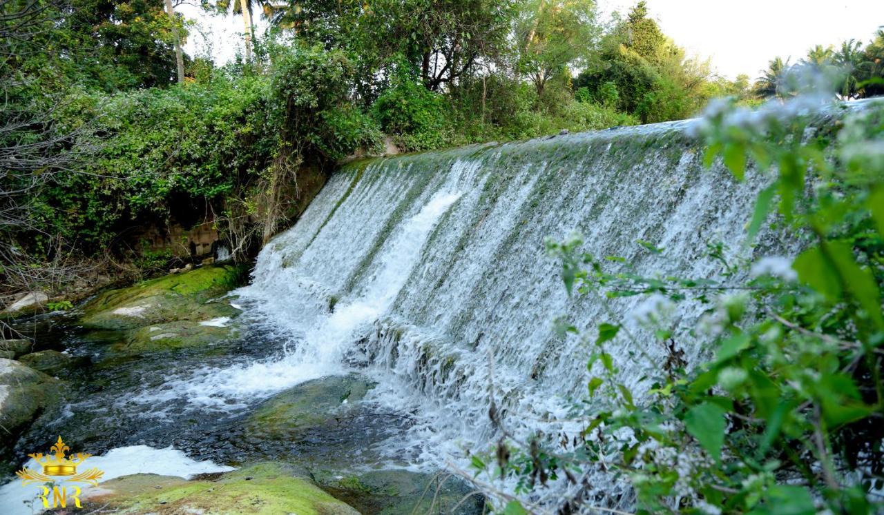 Royal Nature Resort Поллачи Экстерьер фото